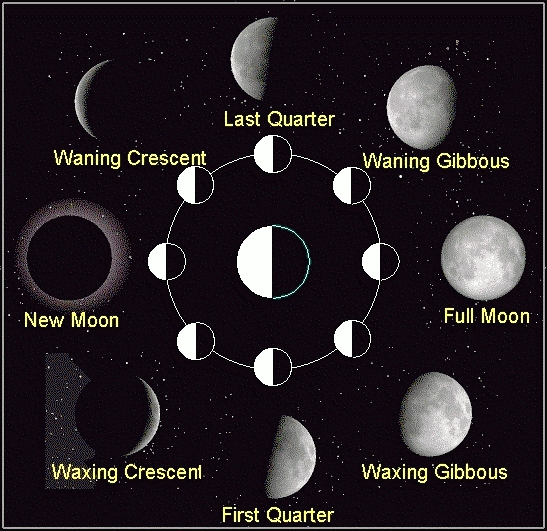 Moon Phases. The New Moon is