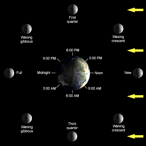 Schedule of Moon Phases. Times shown indicate when the moon is overhead.