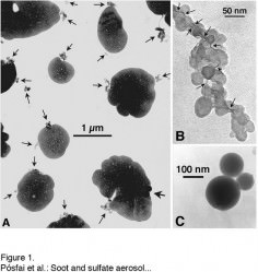 Researchers used an electron microscope to capture these images of black carbon attached to sulfate particles. The spherical structures in image A are sulfates; the arrows point to smaller chains of black carbon. Black carbon is shown in detail in image B. Image C shows fly ash, a product of coal-combustion, that's often found in association with black carbon. While black carbon absorbs radiation and contributes to warming, sulfates reflect it and tend to cool Earth. Credit: Peter Buseck, Arizona State University
