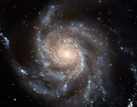 Spiral galaxy M101. Image credit: Hubble
