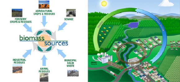 Renewable energy sources | teen essay on the environment
