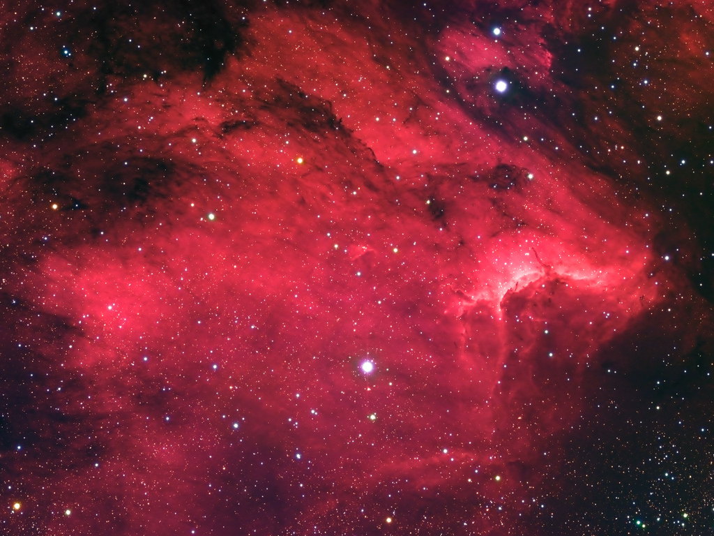 http://www.universetoday.com/wp-content/uploads/2011/10/Pelican-Nebula.jpg