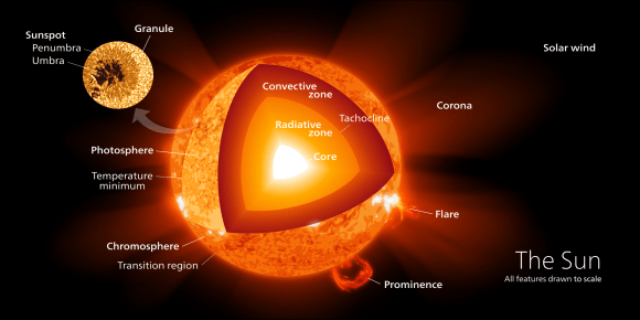 The interior structure of the Sun. Credit: Wikipedia Commons/kelvinsong