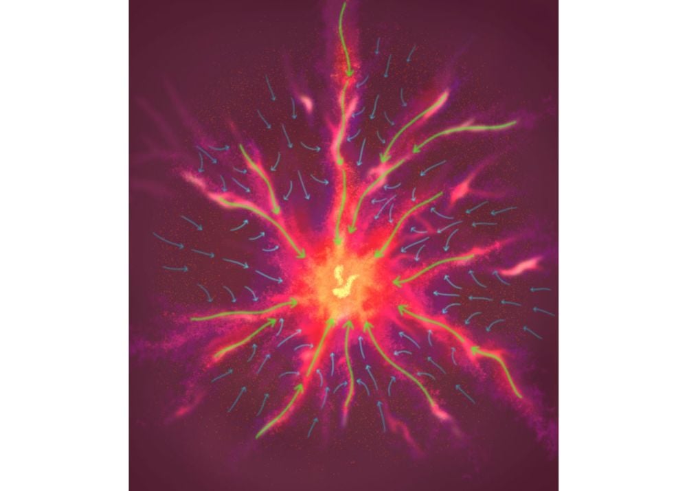 universetoday.com - Evan Gough Evan Gough is a science-loving guy - How Gas Filaments and Interfilaments Feed Star Formation in Monoceros R2