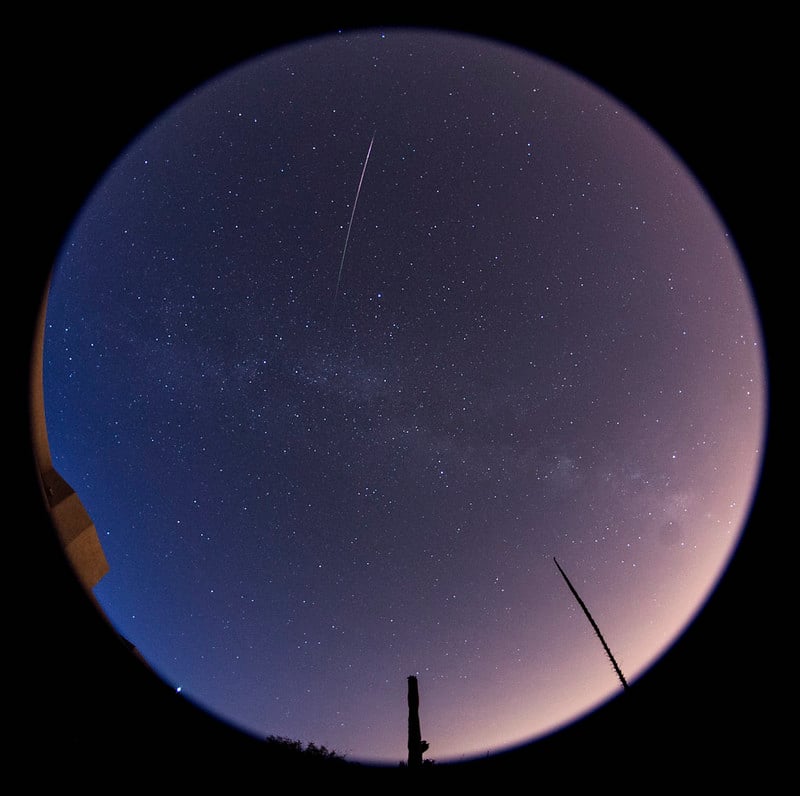 Hunting the Elusive Eta Aquariid Meteors