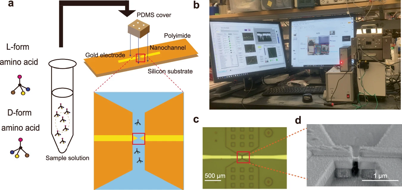 Tiny Gold Nanogaps Could Crack the Chirality Puzzle