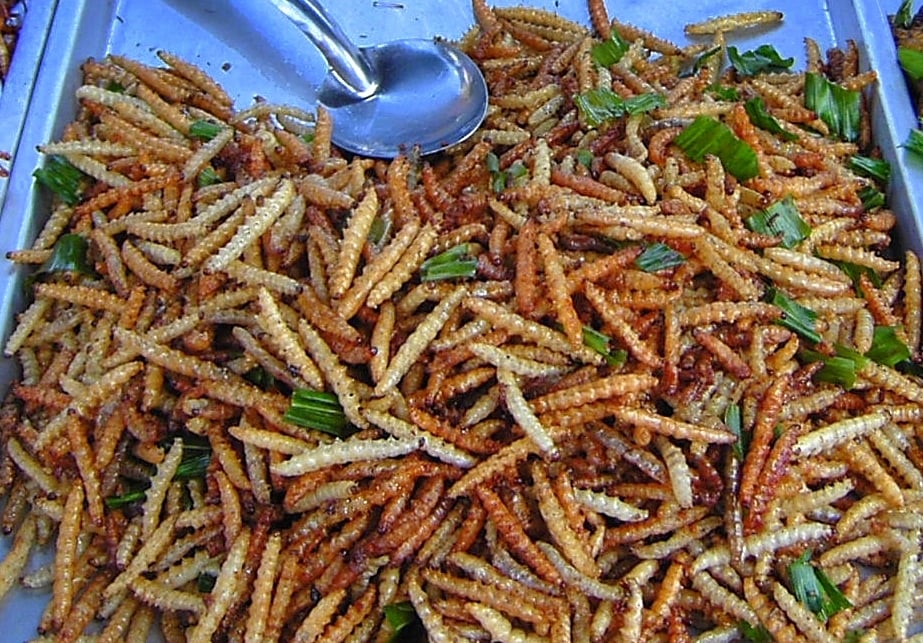 Bamboo worms are a delicacy in Bangkok but will insects become a popular meal for space travellers (Credit : Takoradee)