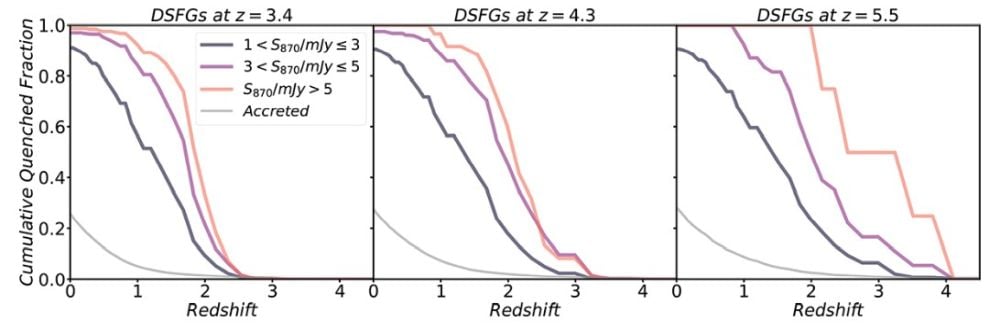 This figure shows DSFGs at three different redshifts. It shows the "Cumulative fraction of dusty star-forming galaxies (DSFGs) selected at z = 3.4, 4.3, and 5.5 (from left to right) that become massive and quiescent as a function of redshift," the authors explain. Each colored line is a different sub-millimetre flux density, while "The grey line indicates the fraction of DSFGs that were accreted by a more massive galaxy," write the authors. Overall, it shows that the brighter DSFGs become quenched more rapidly than fainter ones. Image Credit: Araya-Araya et al. 2026. A&A. https://doi.org/10.1051/0004-6361/202557426