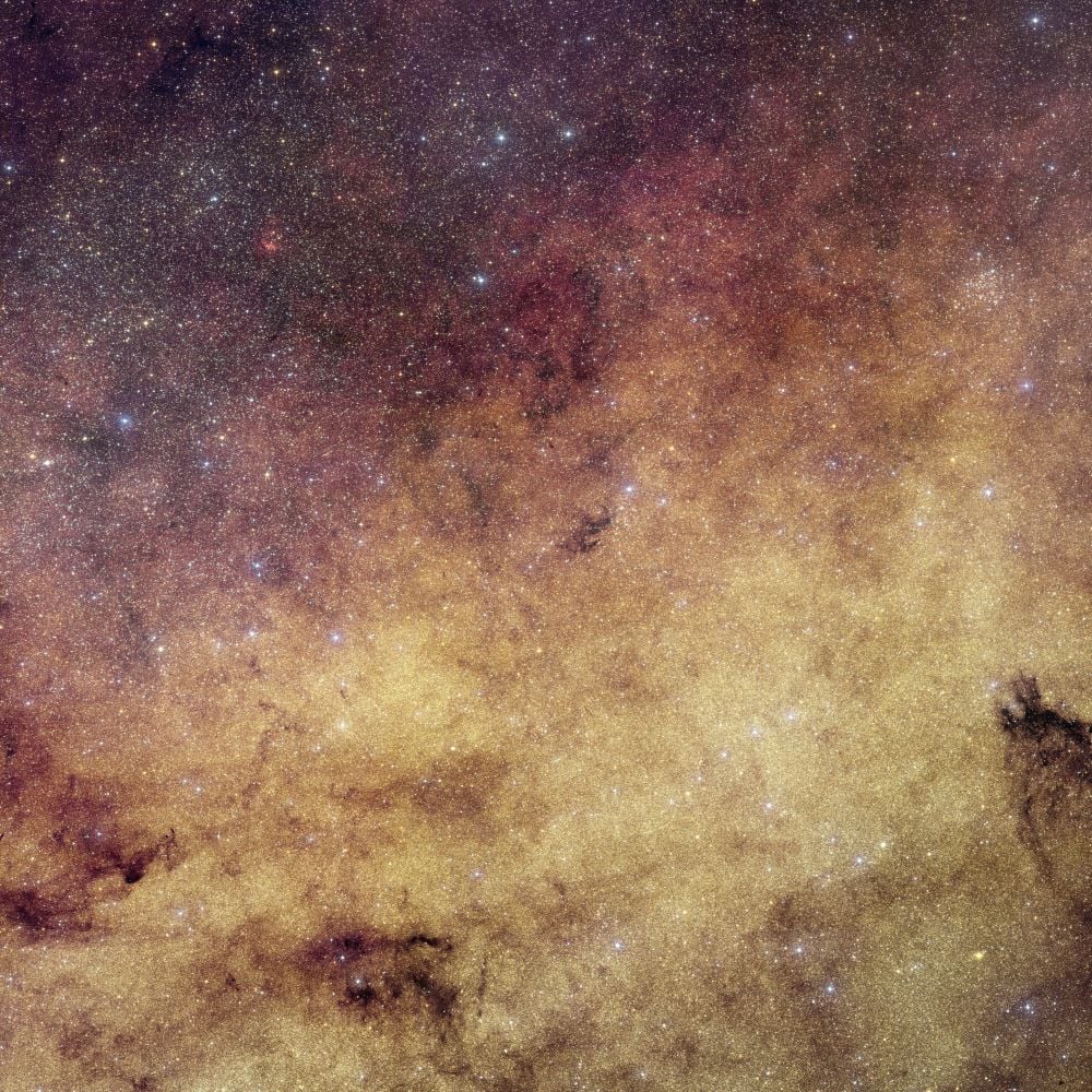 Euclid's New Portrait of the Milky Way's Crowded Bulge