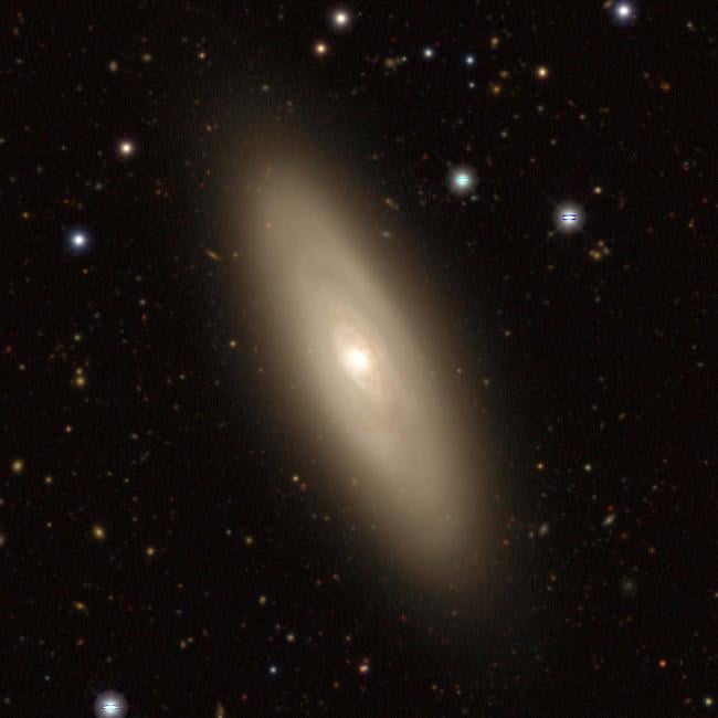 Supermassive Black Holes May Enhance Star Formation