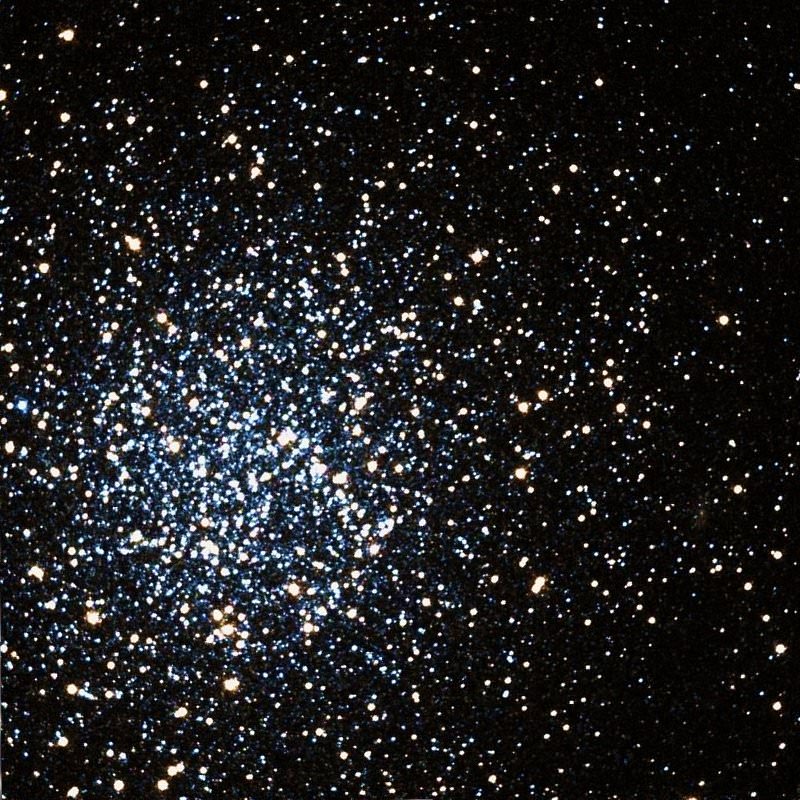 NGC 2419: Wayward Globular or the Milky Way's Own