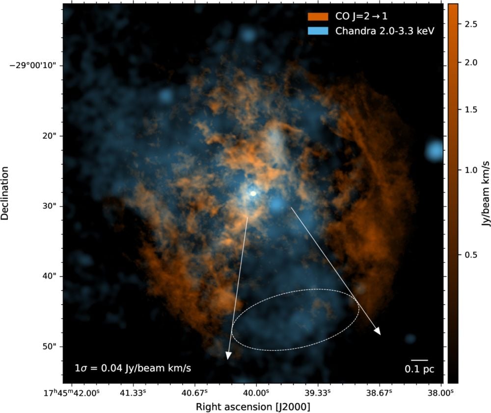 This image shows both molecular gas (orange/brown) data from ALMA and x-ray (blue) data from Chandra. Since hot gas emits x-rays, the blue in the cone shows how Chandra's observations match ALMA's. Image Credit: Gorski and Murchikova 2026. ApJL DOI 10.3847/2041-8213/ae63cf