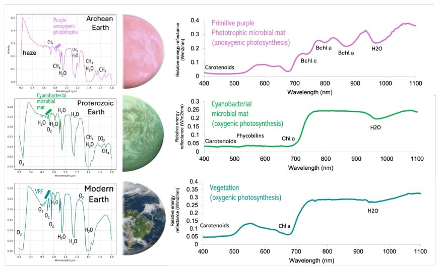 Searching for 'Green Oceans' and 'Purple Earths'