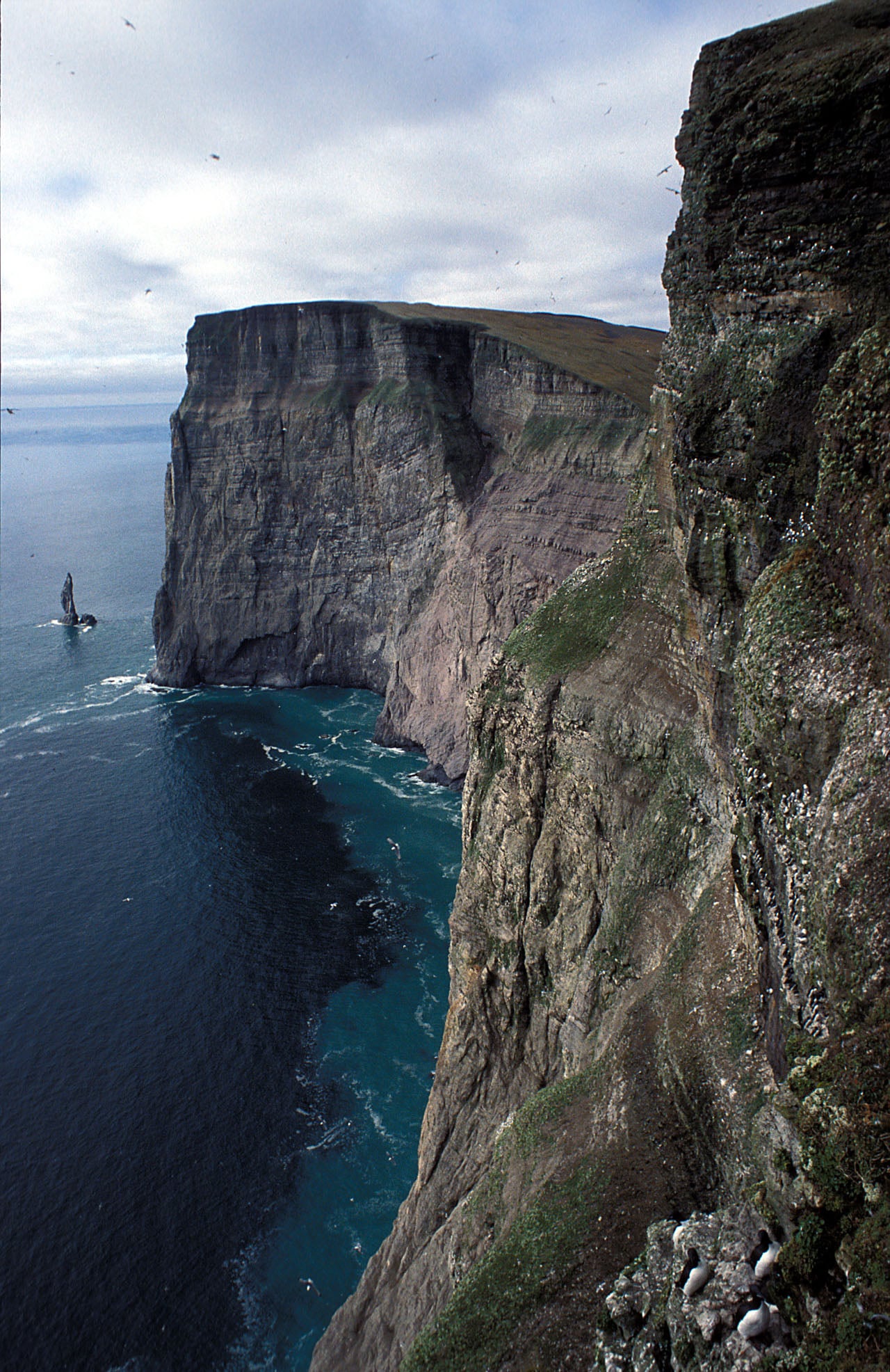 Bear Island in the Barents Sea which is a paleontological hotbead known for preserving ancient microfossils. Credit: Wikipedia