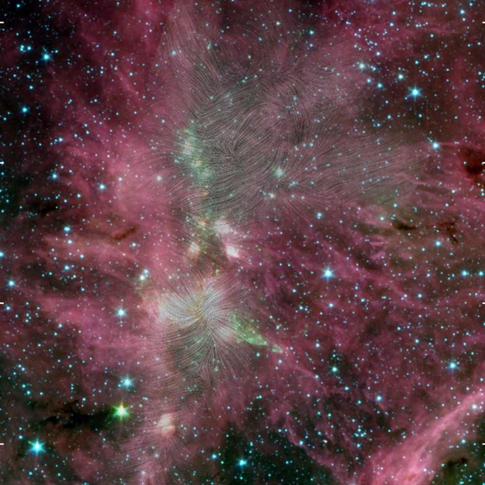 Magnetic Fields Channel Fuel Via Filaments into Star Formation Websites
