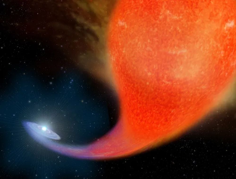 Surface Chemistry Shows Which Massive Stars Have Gained Mass from Binary Companions