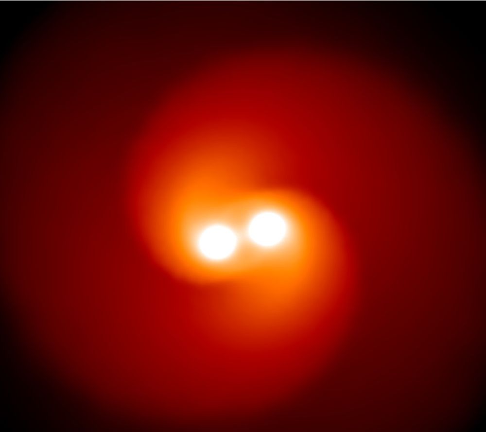 Most stars, including massive ones that will end their lives as supernova explosions, are in binary pairs. Some of the massive, donor stars in these relationships will explode as interacting supernovae due to material ejected before it explodes. The material forms a cocoon of circumstellar material that is illuminated for much longer than a typical supernova. Image Credit: ASIAA/Sung-Han Tsai