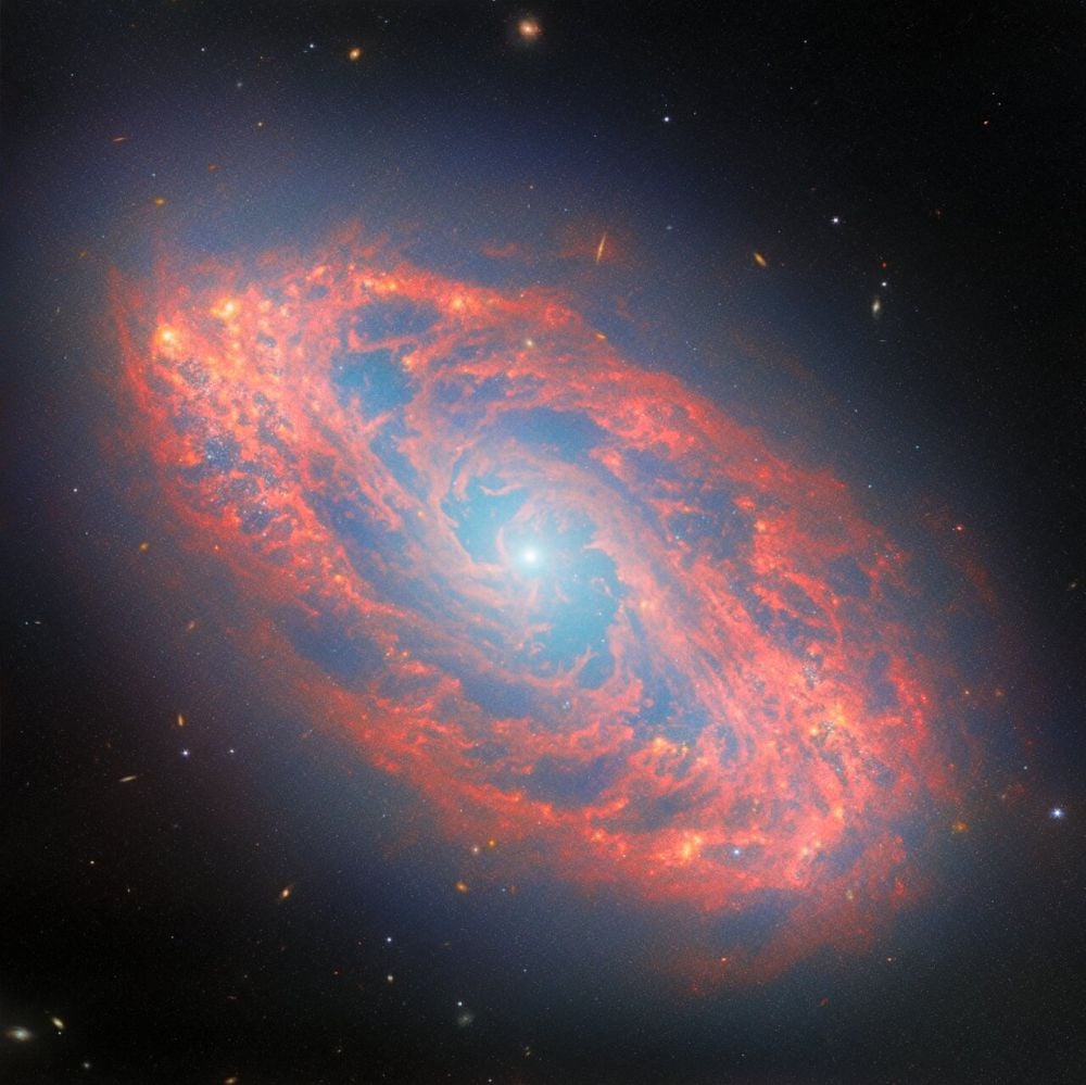A Glorious Spiral of Star Formation