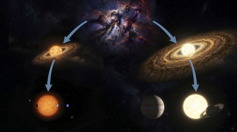 Host Stars Shape Their Planetary Systems Into Two Families