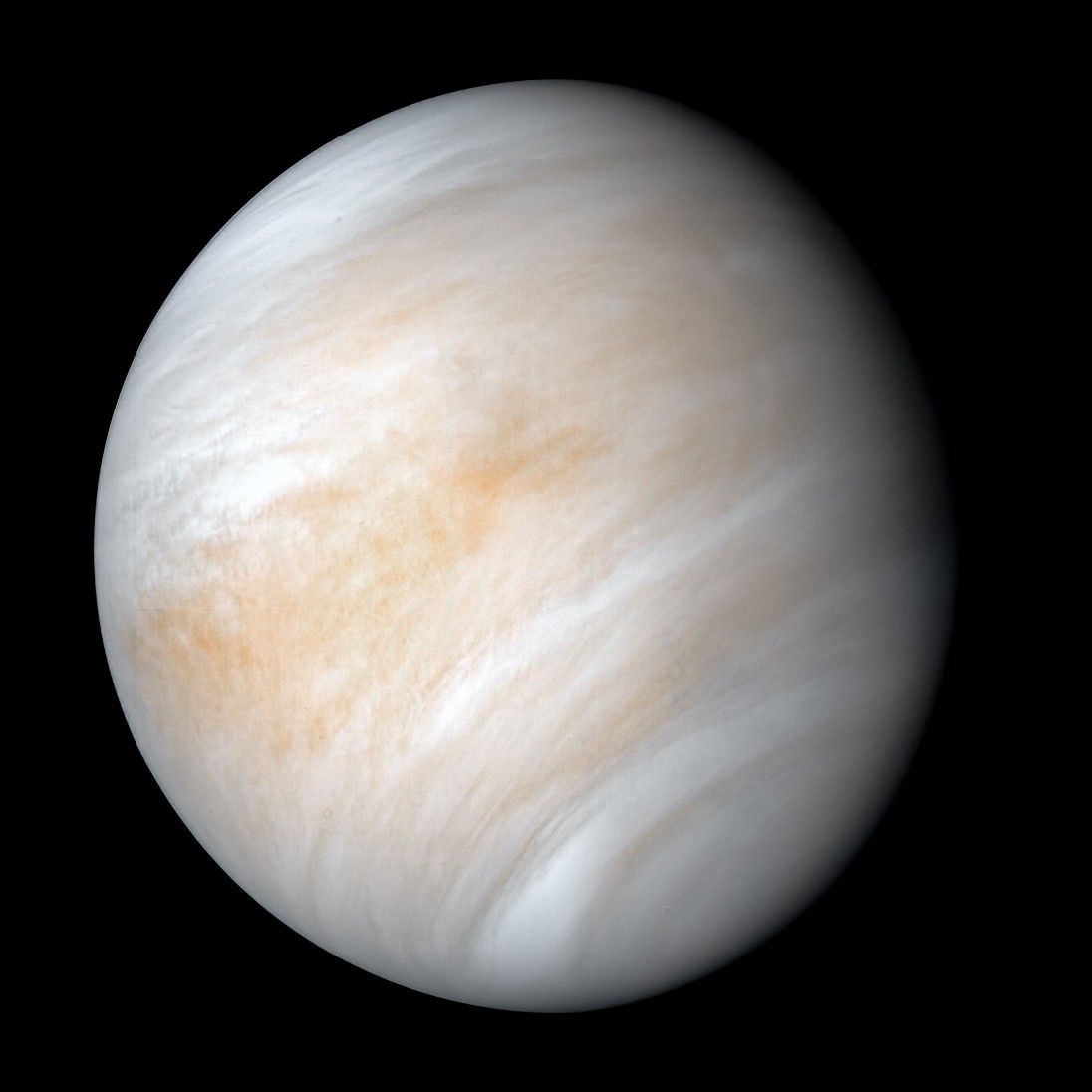 Venus’ Strange Rotation Was Likely Triggered By A High Velocity Moon-Sized Impactor