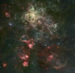 Tarantula Nebula. Image credit: ESO