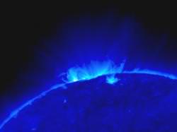 Loops in a magnetically active region. Image credit: NASA