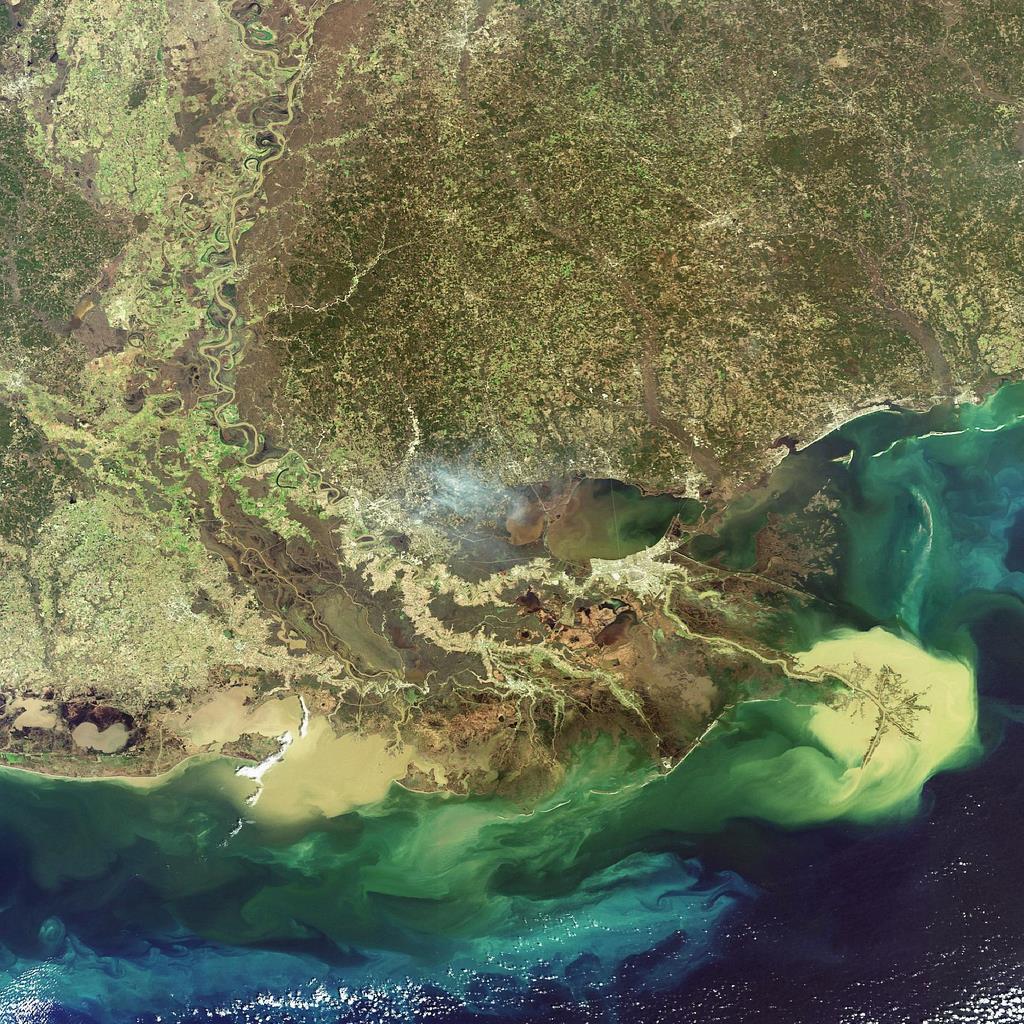 The Mississippi River Delta. Credit: ESA