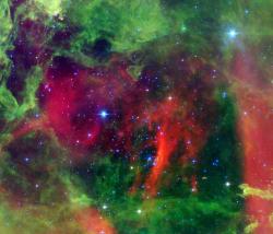 The Rosette Nebula. Image credit: Spitzer