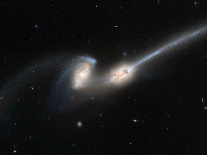 The Mice Galaxies (NGC 4676) are famous interacting galaxies currently undergoing a process of collision and merger. The long tail on the right side is a result of the gravitational tidal forces during the merging process. When galaxies merge, a significant amount of molecular gas flows into the central region, promoting the formation of numerous stars and facilitating the growth of supermassive black holes. Image Credit: NASA, H. Ford (JHU), G. Illingworth (UCSC/LO), M.Clampin (STScI), G. Hartig (STScI), the ACS Science Team, and ESA.