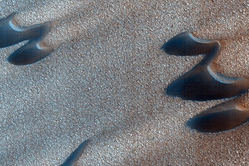 Northern dunes and polygons. Credit: NASA/JPL/University of Arizona 