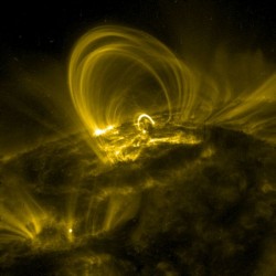 Coronal loops as viewed by the Transition Region and Coronal Explorer (TRACE)