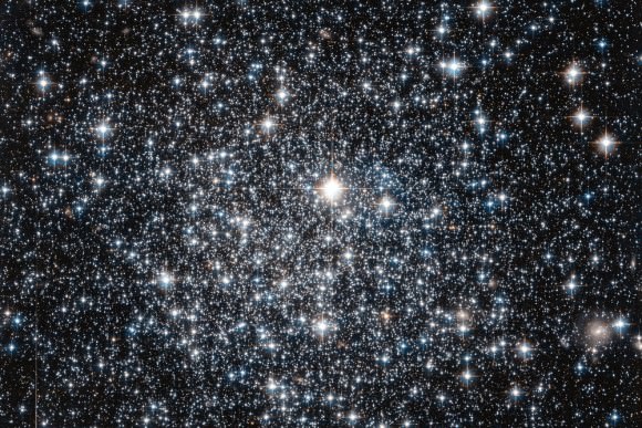This new NASA/ESA Hubble Space Telescope image shows the globular cluster IC 4499. Globular clusters are big balls of old stars that orbit around their host galaxy. It has long been believed that all the stars within a globular cluster form at the about same time, a property which can be used to determine the cluster's age. For more massive globulars however, detailed observations have shown that this is not entirely true — there is evidence that they instead consist of multiple populations of stars born at different times. One of the driving forces behind this behaviour is thought to be gravity: more massive globulars manage to grab more gas and dust, which can then be transformed into new stars. IC 4499 is a somewhat special case. Its mass lies somewhere between low-mass globulars, which show a single generation build-up, and the more complex and massive globulars which can contain more than one generation of stars. By studying objects like IC 4499 astronomers can therefore explore how mass affects a cluster's contents. Astronomers found no sign of multiple generations of stars in IC 4499 — supporting the idea that less massive clusters in general only consist of a single stellar generation. Hubble observations of IC 4499 have also helped to pinpoint the cluster's age: observations of this cluster from the 1990s suggested a puzzlingly young age when compared to other globular clusters within the Milky Way. However, since those first estimates new Hubble data been obtained, and it has been found to be much more likely that IC 4499 is actually roughly the same age as other Milky Way clusters at approximately 12 billion years old. Credit: ESA/NASA/HST