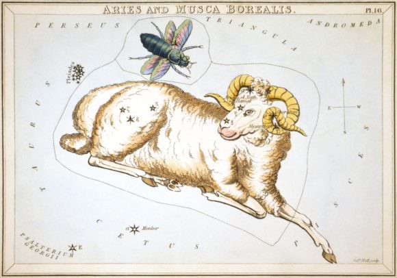 Aries and Musca Borealis as depicted in Urania's Mirror, a set of constellation cards published in London c.1825. Credit: Library of Congress/Sidney Hall