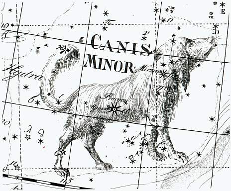 Canis Minor, as depicted by Johann Bode in his 1801 work Uranographia. Credit: Wikipedia Commons/Alessio Govi 