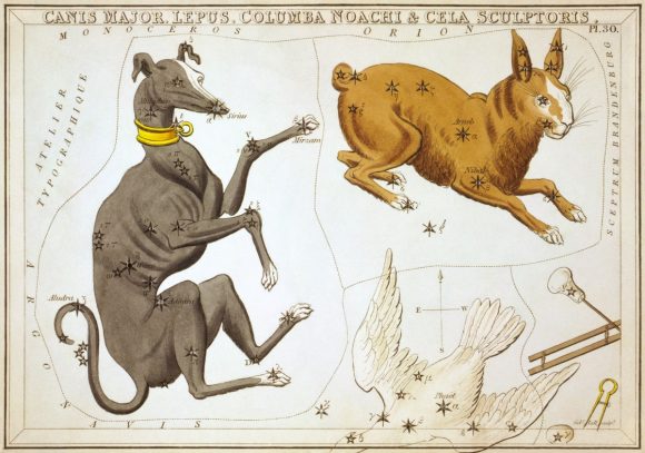 Canis Major as depicted in Urania's Mirror, a set of constellation cards published in London c.1825. Credit: Library of Congress