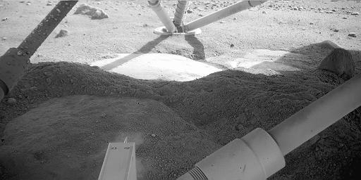 View under the lander on Sol 8.  Credit: NASA/JPL/Caltech/U of AZ