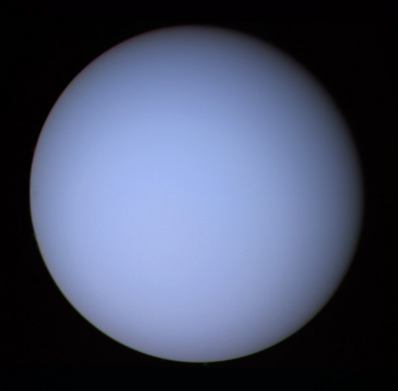 Uranus, seen by Voyager 2. Image credit: NASA/JPL