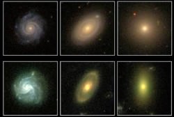 Galaxies from Galaxy Zoo. 