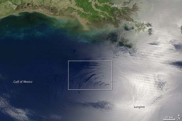 Gulf of Mexico oil slick.  Credit: NASA/Terra Satellite