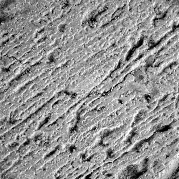 Microscopic image of Meridiani Planum sediments. Image of outcrop of sediments at Meridiani Planum inside Endurance crater taken by the microscopic imager on sol 145 (Credit: NASA/JPL/Cornell/USGS).