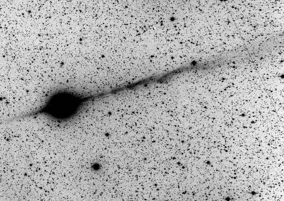 Comet C/2007 N3 Lulin (negative luminance) - J. Brimacombe