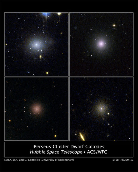 Galaxies in the Perseus Cluster. Credit: NASA, ESA, and Z. Levay (STScI)