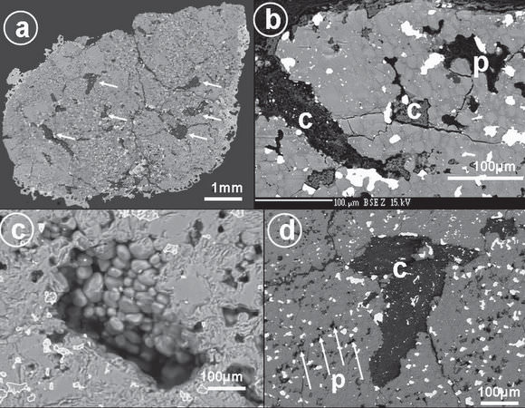 Petrography of Almahata Sitta. Credit: Jenniskens, et. al.  Click for full description