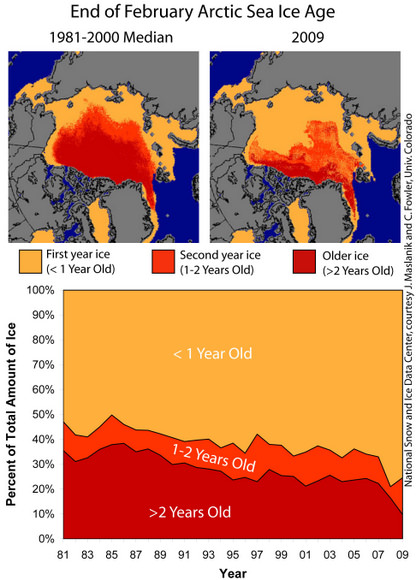 Maps show the relative age of Arctic sea ice at the end of February 2009 and over time. Thin, first-year ice is the predominant type covering the Arctic Ocean this winter. Credit: From NSIDC, courtesy Chuck Fowler and Jim Maslanik, University of Colorado