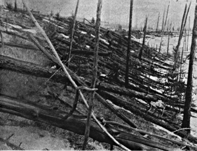 Fallen trees from the Tunguska Event in 1908.