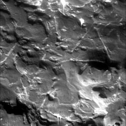 The triangular pattern of small ridges seen at the upper right in this image and elsewhere on the rock is characteristic of iron-nickel meteorites found on Earth, especially after they have been cut, polished and etched.