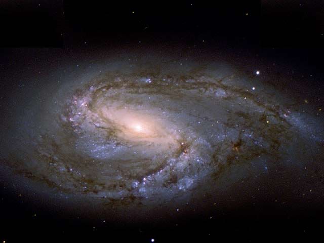 M66 from Hubble