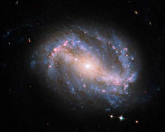 Hubble Early Release Observation of  Barred Spiral NGC 6217.  Credit: NASA, ESA, and the Hubble SM4 ERO Team