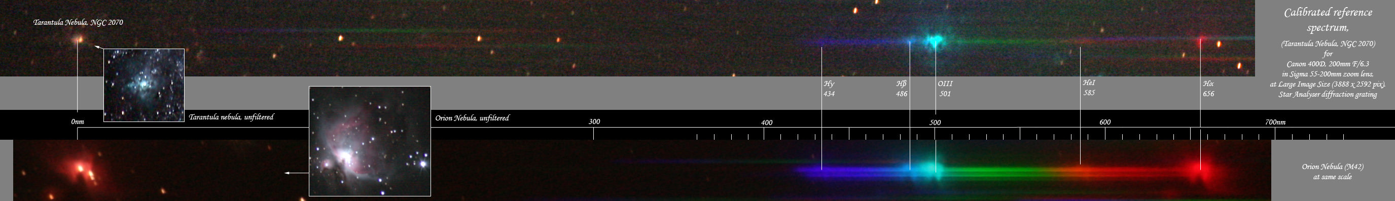 Using Commercial Amateur Astronomical Spectrographs 