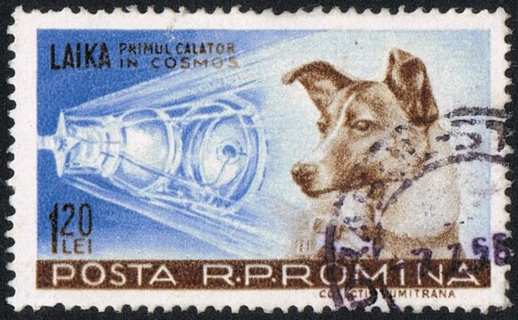 Laika, dog launched into space on stamp from Rumania Posta Romania , 1957. Credit: WIkipedia Commons
